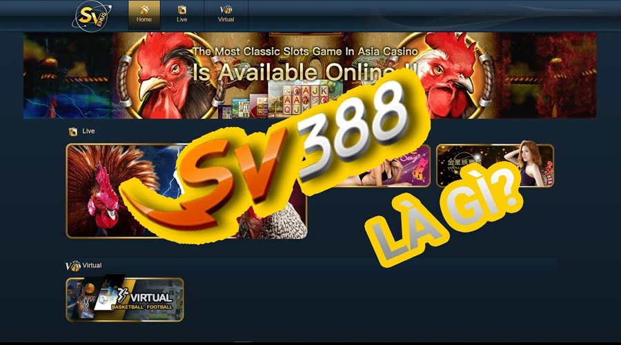 Giới thiệu SV388 - Đá gà trực tuyến